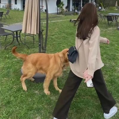 突围